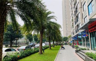 Đường dạo bộ dưới chân tòa nhà được bao phủ bởi không gian xanh.